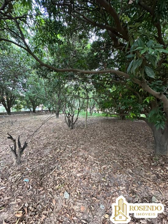 lote-venda-senhora-das-gracas-betim-1102579