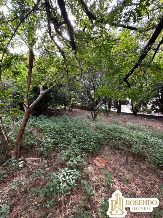lote-venda-senhora-das-gracas-betim-1102585