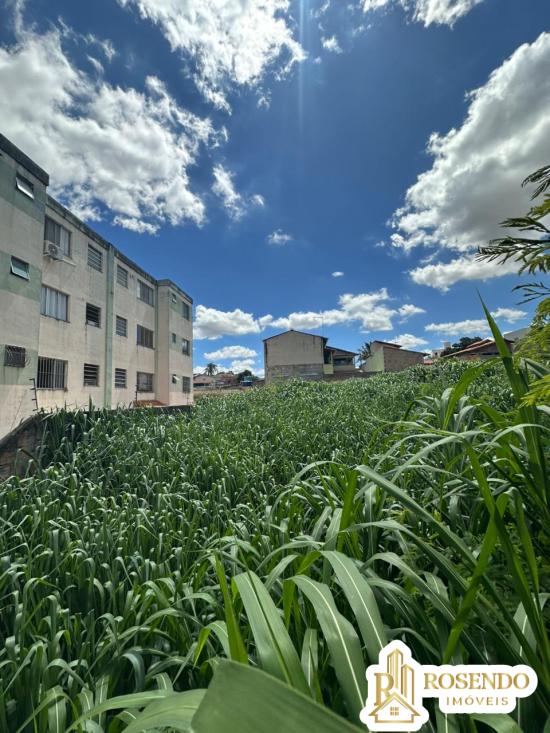 lote-venda-jardim-brasilia-betim-1075421