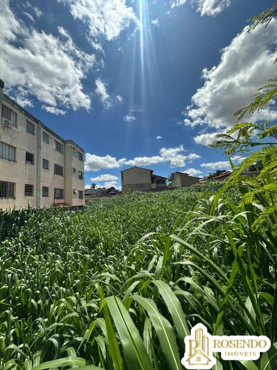 lote-venda-jardim-brasilia-betim-1075423
